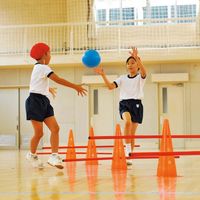 エバニュー マウンテンポール運動遊びセット ETE140 1組