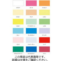 ベルベ 緩衝材 パレットカラー 3PA 788×545mm ピンク 19038 1包：30枚（3枚入×10パック）（直送品）