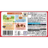 チョコレート菓子 マカダミアチョコレート 1セット（1個×3）
