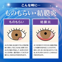 抗菌アイリス使いきり 18本 大正製薬  抗菌目薬 ものもらい・結膜炎【第2類医薬品】