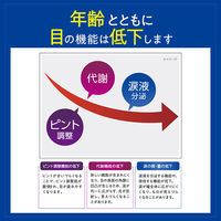 ロートVアクティブ 13ml ロート製薬　目薬 眼科用薬 疲れ目【第3類医薬品】