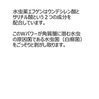 エフゲン 60ml 大源製薬　水虫薬 塗り薬 みずむし いんきんたむし ぜにたむし【第2類医薬品】