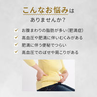 和漢箋（わかんせん）新・ロート防風通聖散錠T 224錠 ロート製薬　漢方薬 肥満症 ぼうふうつうしょうさん【第2類医薬品】