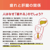 グロンサン内服液 20ml×10本 滋養強壮、肉体疲労時の栄養補給に【第3類医薬品】