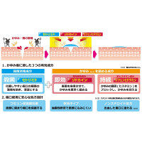 キズカイン 15g 丹平製薬　塗り薬 傷薬 きり傷 すり傷 傷のかゆみ くつずれ 皮膚の殺菌・消毒【第2類医薬品】