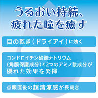 スマイルピットドライアイ 13ml ライオン　目薬 目の乾き・疲れ ドライアイ【第3類医薬品】