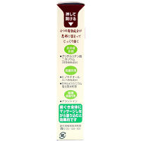 生葉口内塗薬 20g 小林製薬【第3類医薬品】
