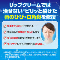 メンソレータム ヒビプロ LP 6g ロート製薬 ひび割れ 口唇炎 口角炎【第3類医薬品】