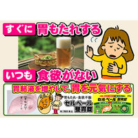 セルベール整胃錠 45錠 エーザイ　胃薬 テプレノン配合 胃もたれ 胸やけ【第2類医薬品】