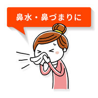 新ルル点鼻薬 16ml 第一三共ヘルスケア　花粉などによるアレルギー性鼻炎の鼻みず・鼻づまりに【第2類医薬品】