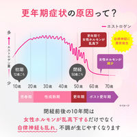 命の母A 252錠 小林製薬【第2類医薬品】