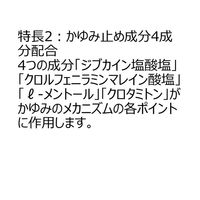 ブテナロックVαスプレー 20ml 久光製薬　かゆみ止め・ブテナフィン塩酸塩配合 水虫 いんきんたむし ぜにたむし【指定第2類医薬品】