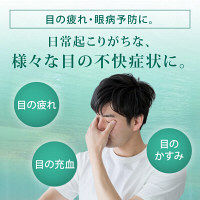 新V・ロート（大容量） 20ml ロート製薬　目薬 疲れ目 ハードコンタクトレンズ【第2類医薬品】