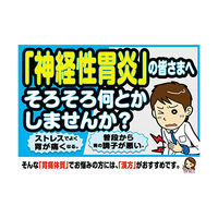 ストレージタイプI 12包 アリナミン製薬　漢方薬 安中散 ストレスなどによる胃痛 胃の不調 神経性胃炎 慢性胃炎【第2類医薬品】