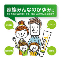 オイラックスA 10g 第一三共ヘルスケア　塗り薬 ステロイド・殺菌成分配合 湿疹・かぶれ・虫さされ・かゆみ【指定第2類医薬品】