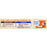 クロマイ-P軟膏AS 6g 第一三共ヘルスケア　塗り薬 ステロイド・抗生物質配合 化膿を伴う湿疹・皮膚炎に【指定第2類医薬品】