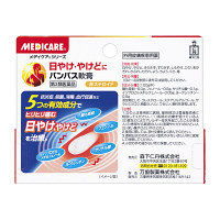 メディケア パンパス軟膏 15g 森下仁丹　日焼け やけど しもやけ 切りきず すりきず ひび あかぎれ 非ステロイド【第2類医薬品】