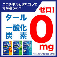 ニコチネルガム  ミント 90個 Haleonジャパン　ペパーミント風味 禁煙補助薬 禁煙ガム ニコチン置換療法【指定第2類医薬品】