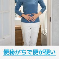 「クラシエ」漢方乙字湯エキス顆粒 45包 クラシエ薬品　漢方薬 飲み薬 ぢ  いぼ痔 きれ痔 便秘 軽度の脱肛【第2類医薬品】