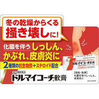 ドルマイコーチ軟膏 6g ゼリア新薬工業　塗り薬 抗生物質・ステロイド配合 化膿を伴う湿疹・皮膚炎・かぶれ【指定第2類医薬品】