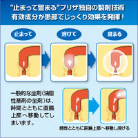 プリザエース坐剤T 10個 大正製薬　坐薬 ステロイド配合 痔 はれ かゆみ【指定第2類医薬品】