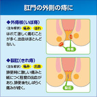 プリザエース軟膏 10g 大正製薬　塗り薬 ステロイド配合 痔 はれ かゆみ【指定第2類医薬品】