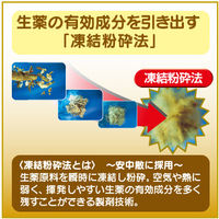 大正胃腸薬K＜錠剤＞