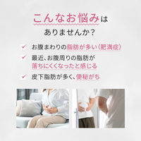 和漢箋（わかんせん） 新・ロート防風通聖散錠ZII 210錠 ロート製薬　漢方薬 ぼうふうつうしょうさん　肥満症 便秘【第2類医薬品】