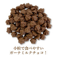 チョコレート菓子 ガーナミルクトット　プチパック　45g 1セット（1個×10）