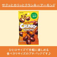 チョコレート菓子 クランキー　アーモンドチョコレート　プチパック　45g 1セット（1個×10）