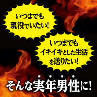 マカ・亜鉛 PREMIUM 約30日分(90粒入り)【小林製薬の栄養補助食品】 1セット（2袋） サプリメント