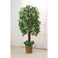 ファミリー・ライフ 人工観葉植物 2点セット（ベンジャミン&幸福の木） 幅700×奥行200×高さ1400mm（直送品）