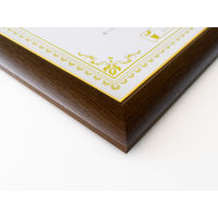 大仙 賞状額 C500 金付 八二 J570P3200 1枚