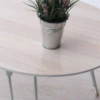 永井興産 ポワテーブル  NA（ナチュラル）幅800×奥行400×高さ300mm　NK-845　1台（直送品）