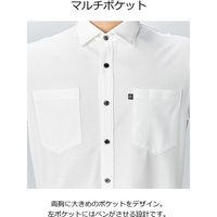 カーシーカシマ 半袖ニットシャツ ホワイト L CSY174 1着