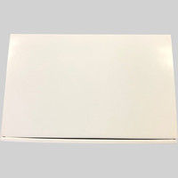 人形町今半 こだわりローストポーク AP-48 1箱（300g）（直送品）