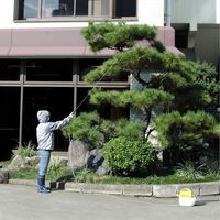 工進 電気式噴霧器 GT-10V 1台