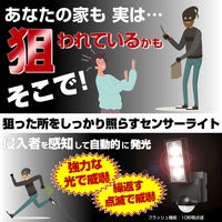 朝日電器 ソーラー式センサーライト1灯 ESL-311SL 1個