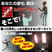 朝日電器 乾電池式センサーライト2灯 ESL-312DC 1個
