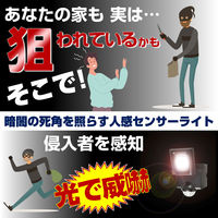 朝日電器 乾電池式センサーライト1灯 ESL-N111DC 1個