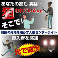 朝日電器 乾電池式センサーライト2灯 ESL-N112DC 1個
