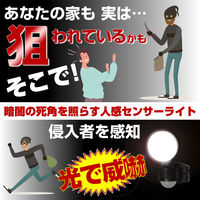 朝日電器 AC式センサーライト1灯 ESL-SS411AC 1個