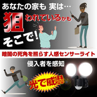 朝日電器 AC式センサーライト2灯 ESL-SS412AC 1個
