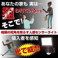 朝日電器 AC式センサーライト1灯 ESL-SS421AC 1個