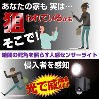 朝日電器 LEDセンサーライト1灯 ESL-SS801AC 1個
