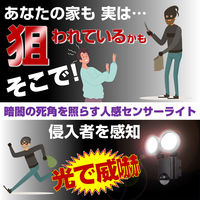 朝日電器 LEDセンサーライト2灯 ESL-SS802AC 1個