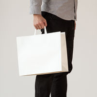 【復活特別価格】アスクル 平紐 クラフト紙手提袋ベーシック 400×320×115ｍｍ  白 無地 1セット（300枚入×3箱） オリジナル