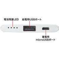 サンワサプライ モバイルバッテリー(2500mAh) BTL-RDC11WN 1個（直送品）