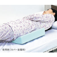 アズワン 体位固定クッション (防水タイプ/三角タイプ) TWP 1個 8-2650-02（直送品）