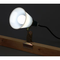 アイリスオーヤマ LEDクリップライト防滴型 40形相当 ILW-45GBC3